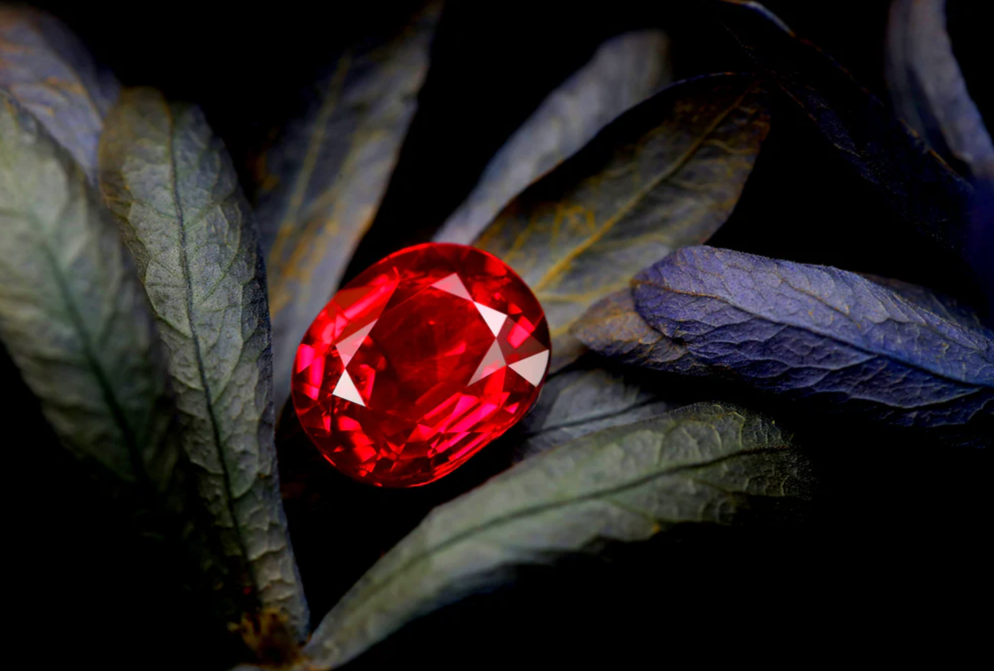 Highest Selling Rubies at Auction: Ranked by Price