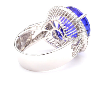 15.50 Carat Round Tanzanite & 1.50 Carat Diamond Double Halo 14K White Gold Ring – Assay Jewelers