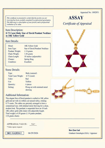Ruby Star of David 18K Gold Pendant Necklace – Assay Jewelers