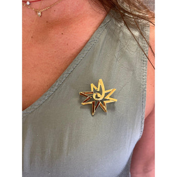 Paloma Picasso For Tiffany & Co. Celestial Star Geometric Pin Brooch in 18k Yellow Gold – Assay Jewelers